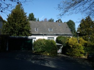 img.sg-01-254.01
